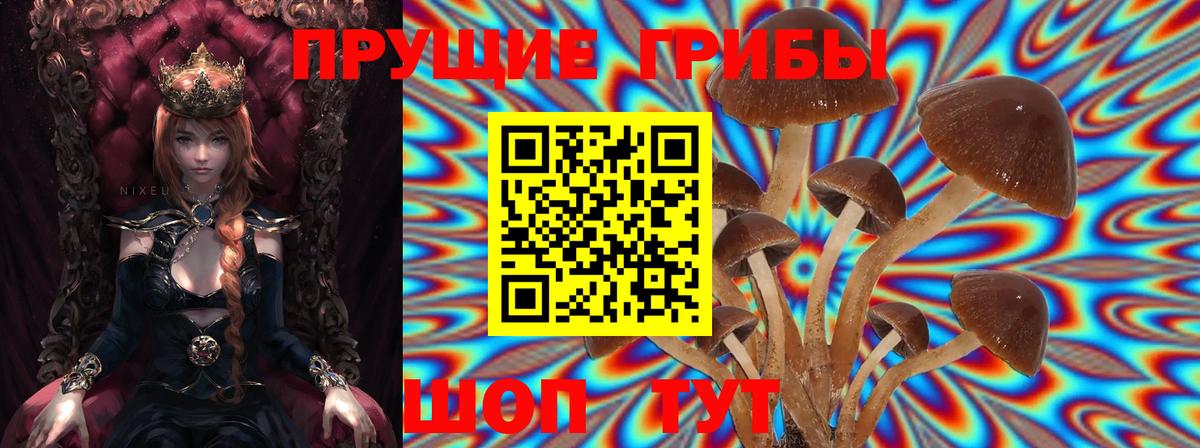 купить закладку  Галлюциногенные грибы мухоморы  Вход с VPN  Сергиев Посад 